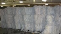 Polypropylene (PP