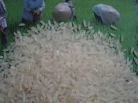 Long White Rice 5% Broken