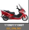 Yy250T