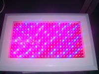 300W Led grow light (other watts available)