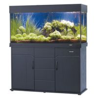 Aquarium and accessories