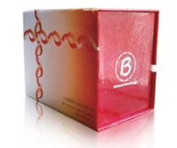 M-MLV RT-PCR System/BestBio