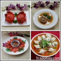 Simulation Food model, Faux model