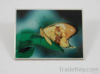 butterfly pin