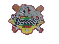 Lapel Pin
