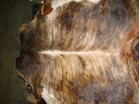 Hair On Hides