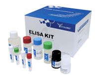 ELISA Kits