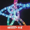 LED twinkle light/led rope light