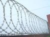 Barbed Wire