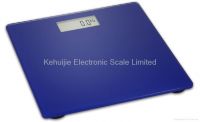 CS-102 Electronic Glass Scale