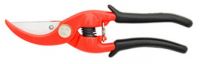 Pruning Shear
