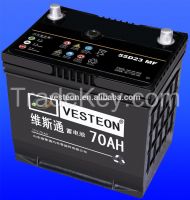 12V Lead Acid Maintance Free Car
