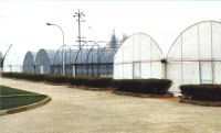 Fiberglass Insect Screen
