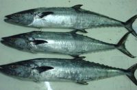 KING FISH