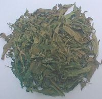 Stevia Leaves