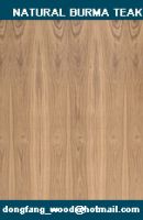 natural buma teak plywood