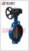 API butterfly valve From China