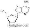 Adenosine