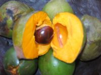 Lucuma powder