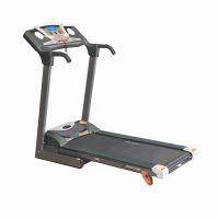 Motorized Treadmill