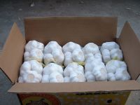 PEANUT, BEANS AND PULSES, SEEDS AND