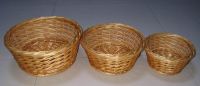 Willow Basket