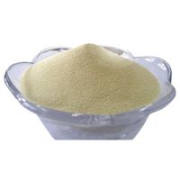 Granular Xylanase