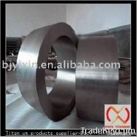 ASTM B381 titanium Forging ring