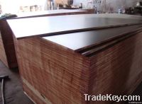 Film faced marine plywood 18mm good quality