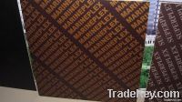 MARINEPLEX Film faced plywood 18mm good quality