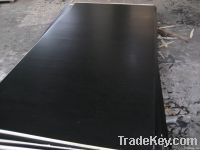 Film faced marine plywood 1 time hot-pressing 18mm