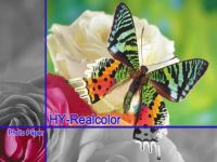 180gsm RC Stain Photo Paper