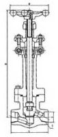 Forged-steel low temperature globe valve