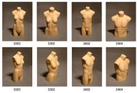 Body Form, Torso