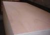 supply plywood(+86 139 544 11902)