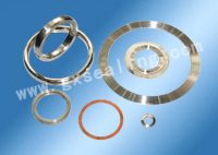 metal gasket