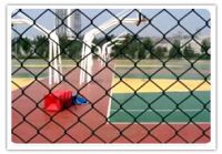 chain link fence From China