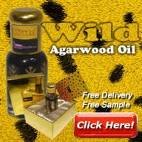 &#039;Wild&#039; Agarwood Oil by *****