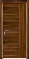 Flush Door