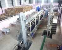 Cashew Nut Processing Plant - 4 Ton