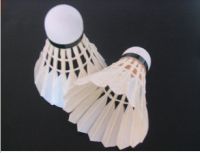 Shuttlecock2
