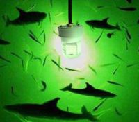 8W-300W deep submersible underwater LED fishing light fishing tackle for lure fish