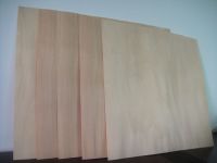 Beech Rotary Cut Veneer(2)