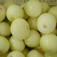 Onion