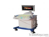color doppler ultrasound system