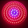 LED grow light