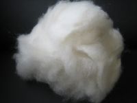 Cashmere raw material