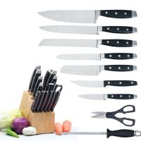 Kitchen Knife Set with Wood Block, POM Handle with Double Steel Cap From China