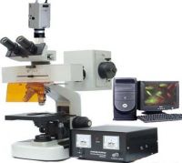Fluorescence Microscope