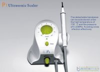 P1 Dental ultrasonic scaler (Removable Handpiece)